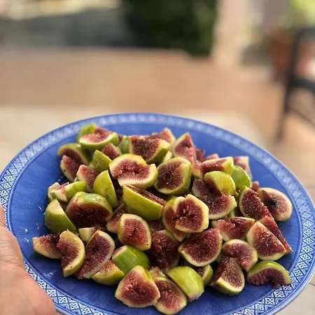 Apartment Casa Zorana-alba *